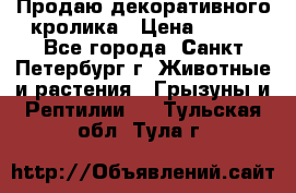 Продаю декоративного кролика › Цена ­ 500 - Все города, Санкт-Петербург г. Животные и растения » Грызуны и Рептилии   . Тульская обл.,Тула г.